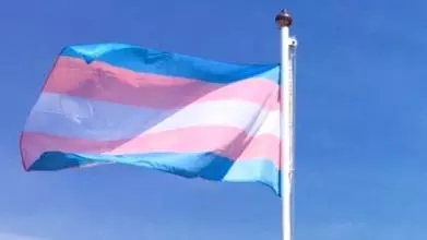 trans flag 1 3631233303
